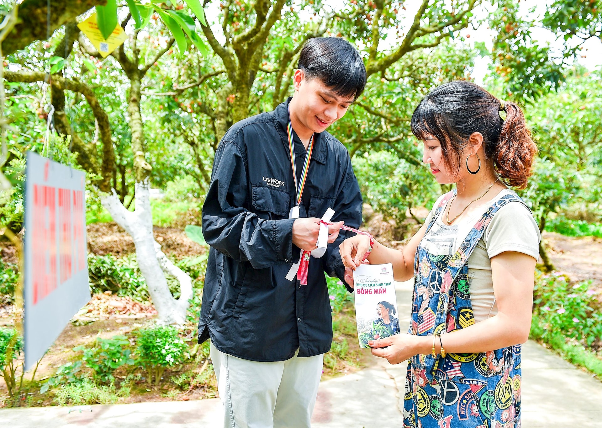 ធ្វើដំណើរទៅដុងម៉ាន់ (ថាញ់ហា) ក្នុងរដូវផ្លែល្ហុង