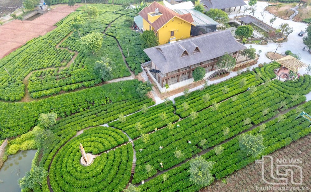 ティエンイエン茶業・コミュニティ観光協同組合（タイグエン市タンクオンコミューン）は、観光客を誘致するために同期施設に投資した。