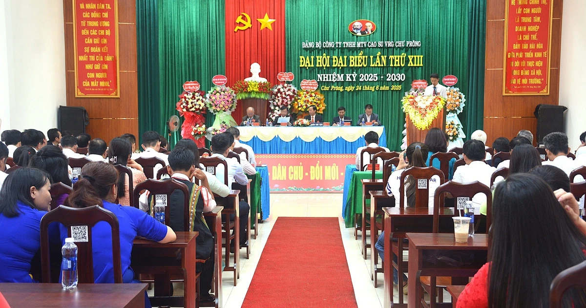 Cao su Chư Prông phấn đấu lợi nhuận trước thuế đạt 528,9 tỷ đồng