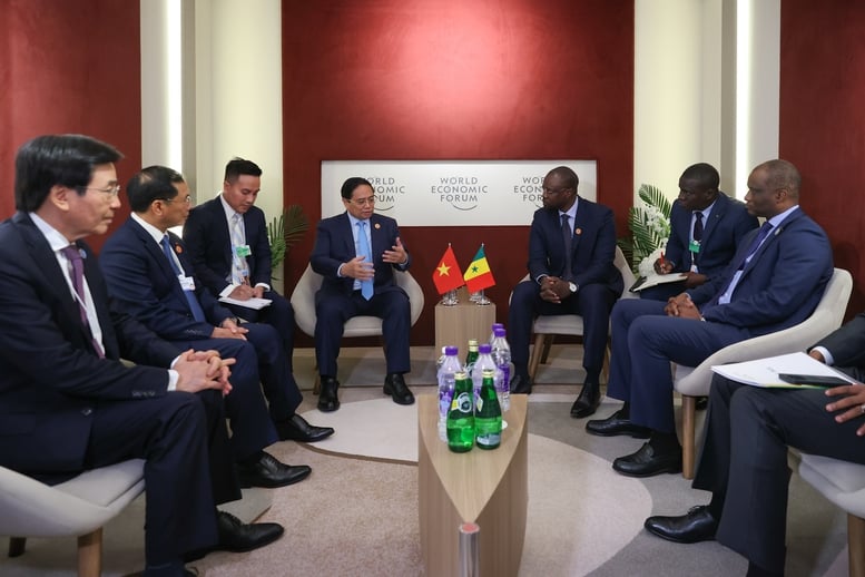 Senegal mong muốn Việt Nam tiếp tục hỗ trợ sản xuất lúa gạo và hạt điều- Ảnh 3.