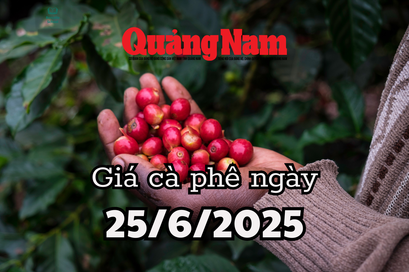 Tin tức, dự báo giá cà phê ngày mai 26 6 2025 bị dồn vào thế khó lấy lại đỉnh giá