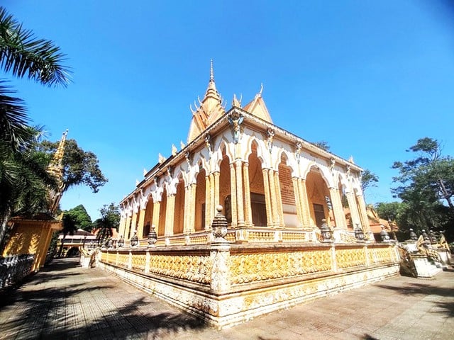 Những ngôi chùa độc đáo ở miền Tây: Nơi 'an cư' của chim cò quý hiếm- Ảnh 1.