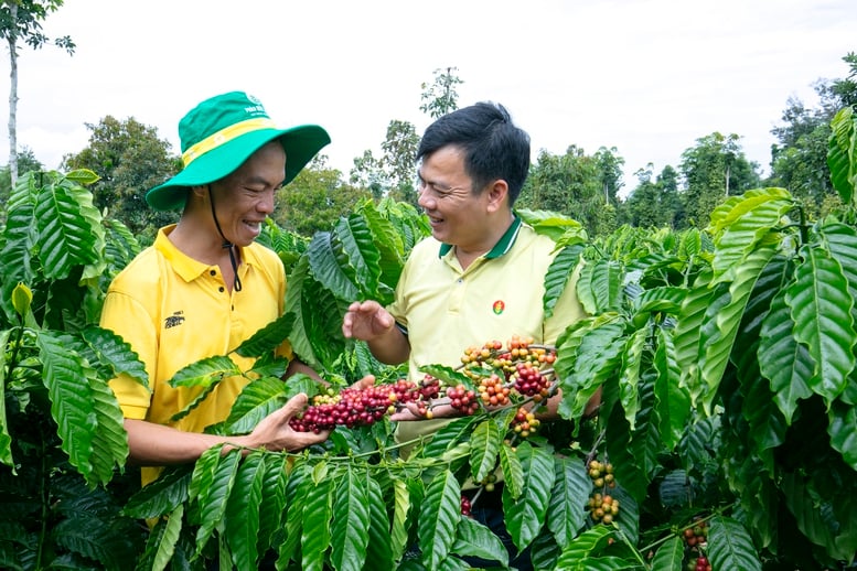 PVCFC cam kết không tăng giá, dù nguyên liệu nhập khẩu tăng- Ảnh 2.
