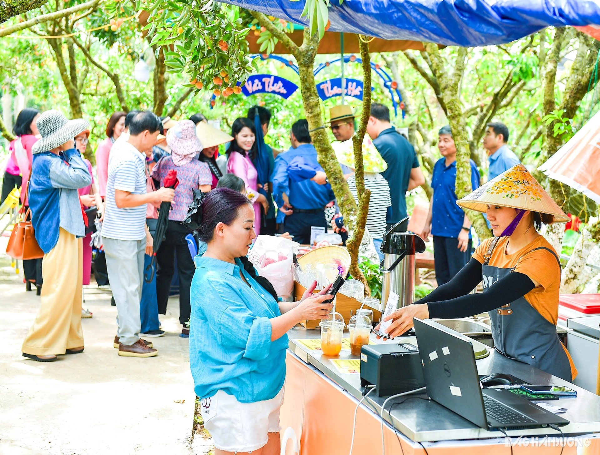 ដុង-ម៉ាន់-៩.jpg