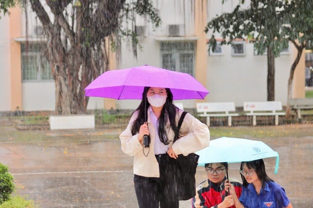  - Ảnh 4.