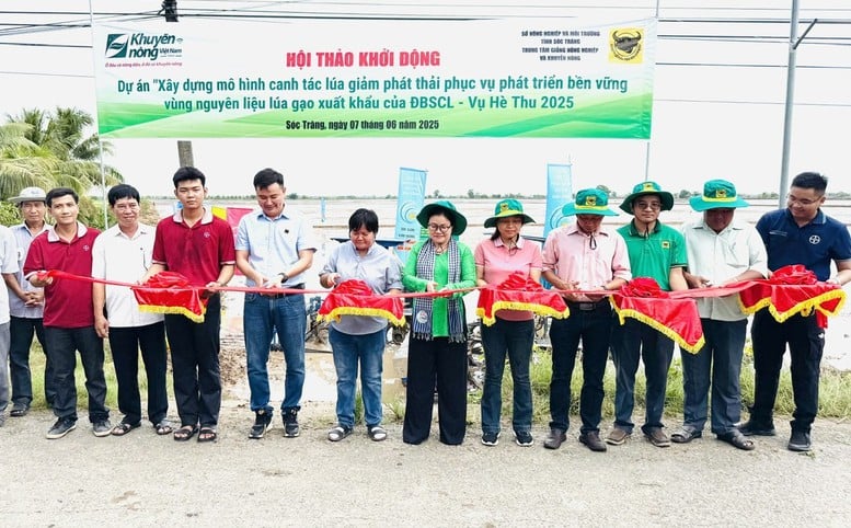 Bình Điền đẩy mạnh Dự án 