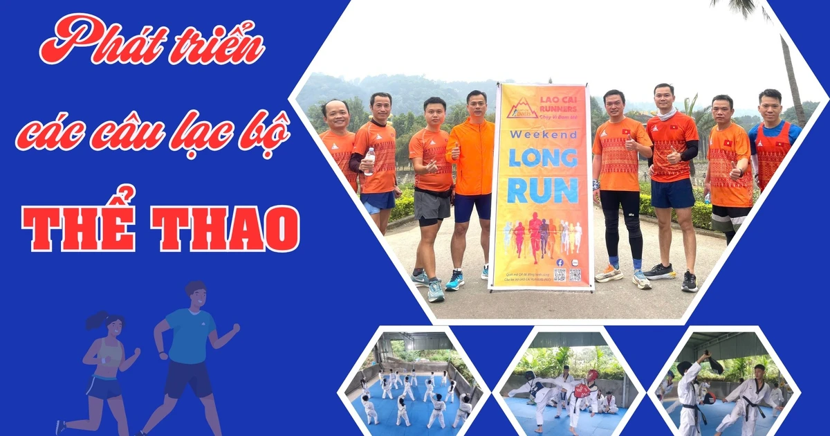 អភិវឌ្ឍក្លឹបកីឡា