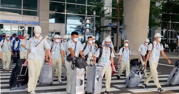Loại 2 doanh nghiệp khỏi chương trình đưa lao động sang Australia làm nông nghiệp
