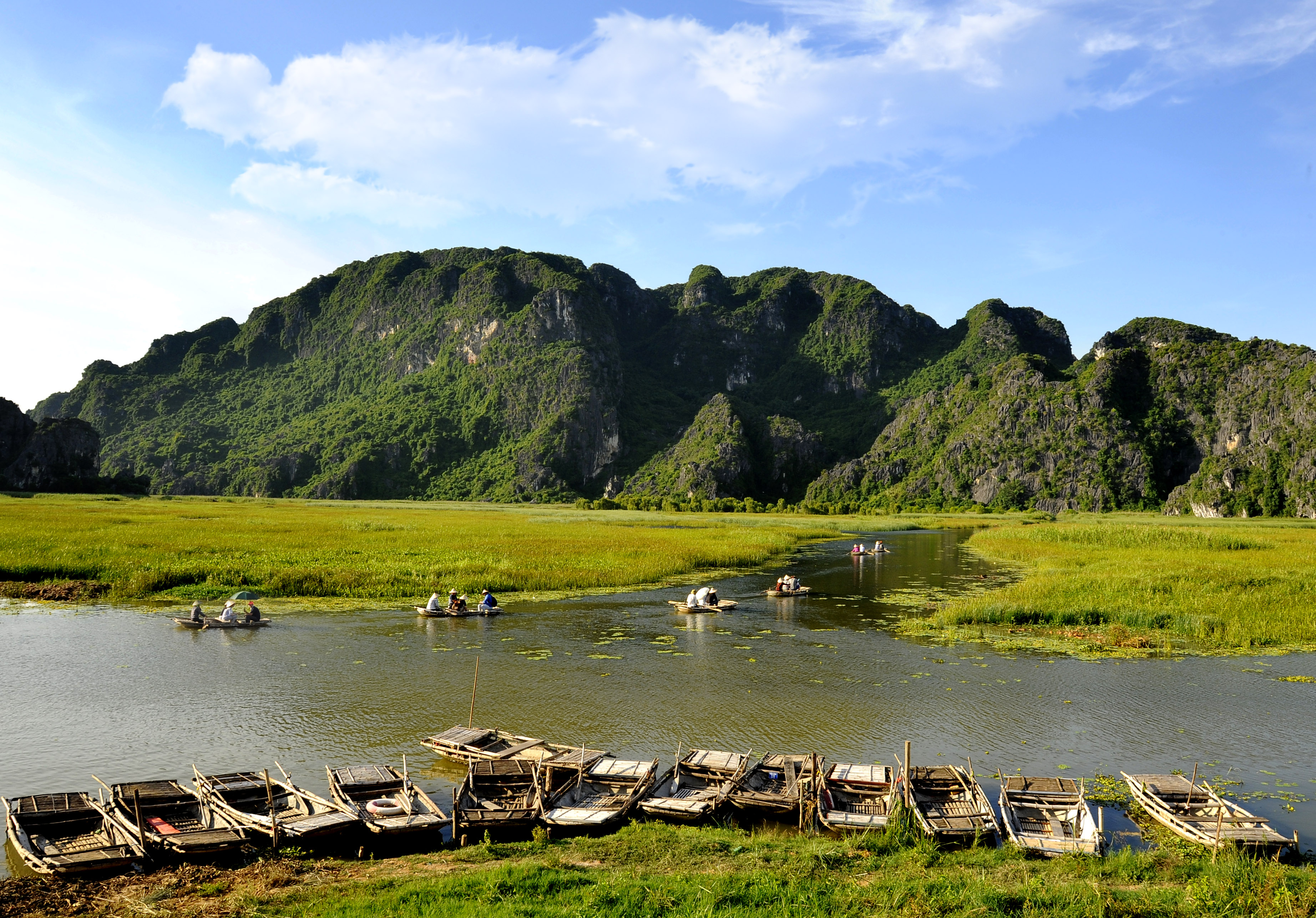 'Waveless Bay' នៅ Ninh Binh គឺព្រៃ និងស្រស់ស្អាត ជាមួយនឹងប្រភេទសត្វកម្របំផុតក្នុងពិភពលោក