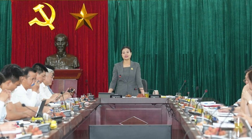 Giám đốc Sở Văn hóa và Thể thao Hà Nội Bạch Liên Hương, Tổ trưởng Tổ công tác số 10 phát biểu tại buổi làm việc.