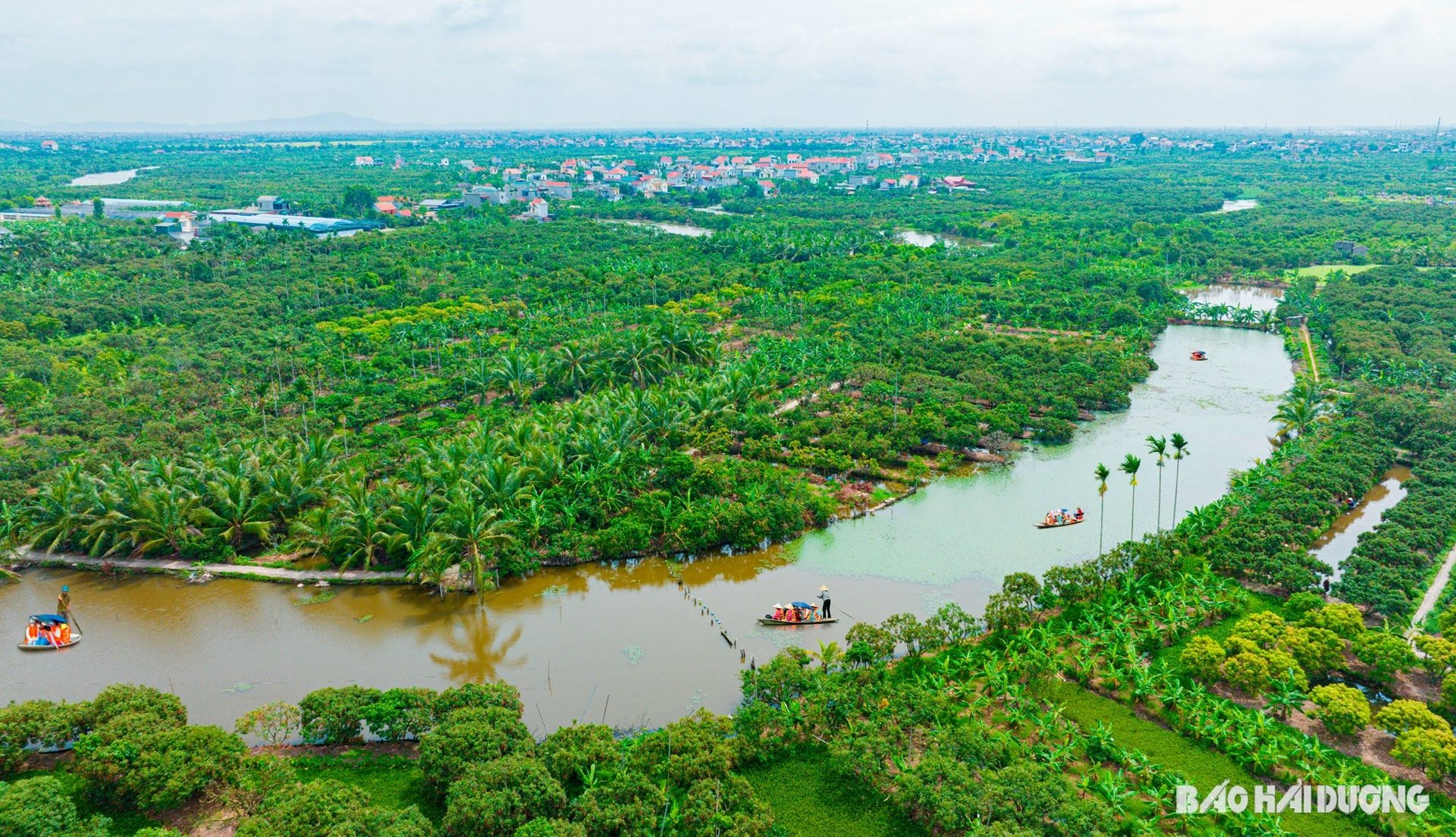 ដុង-ម៉ាន់-១.jpg