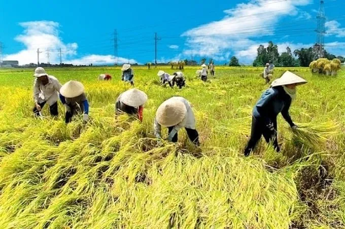 Thấy gì từ việc các tỉnh bỗng dưng có biển, quy mô nông nghiệp rất lớn? ảnh 3