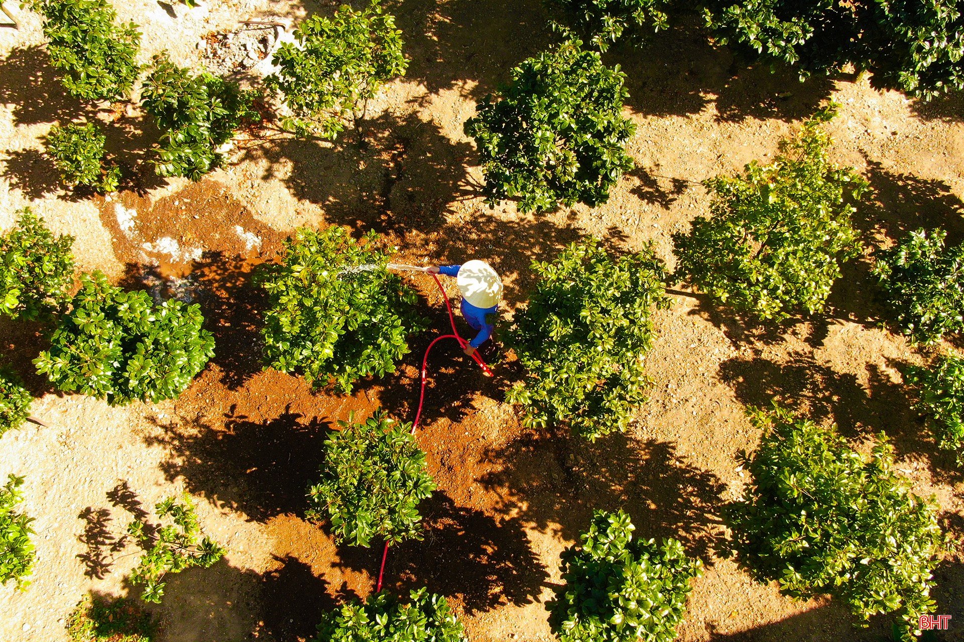 bqbht_br_dji-0716.jpg