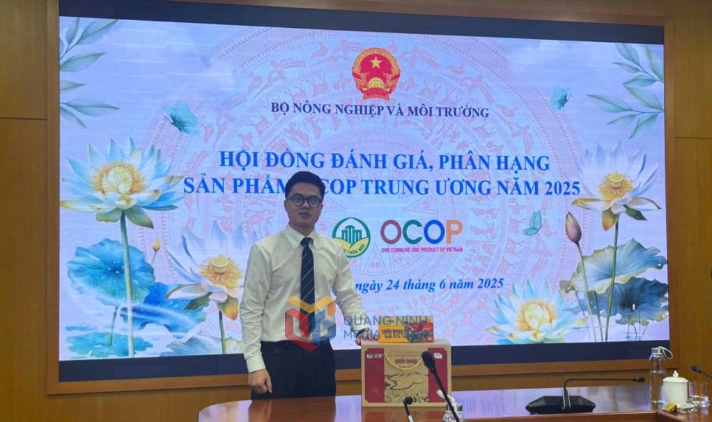حصلت منتجات الشعيرية Binh Lieu من شركة Binh Lieu Trading and Service Joint Stock Company على شهادة 5 نجوم على المستوى الوطني.