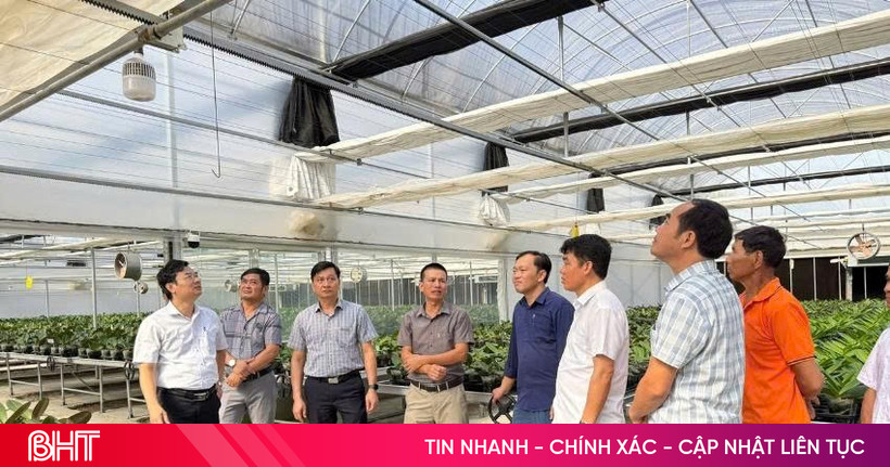គោល​នយោបាយ​ដើម​ដើម្បី​ចម្លង​គំរូ​ដាំ​ផ្កា​អ័រគីដេ​បច្ចេកវិទ្យា​ខ្ពស់​នៅ Ha Tinh
