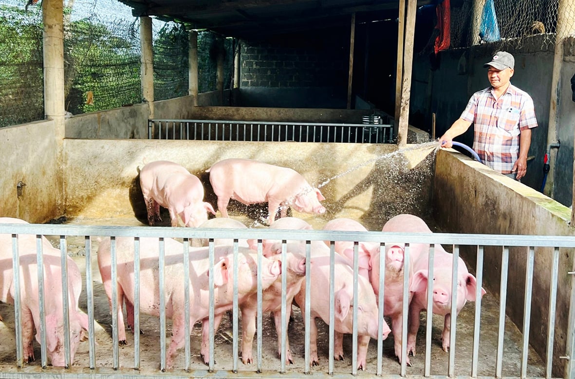 Vươn lên làm giàu từ đa dạng ngành nghề