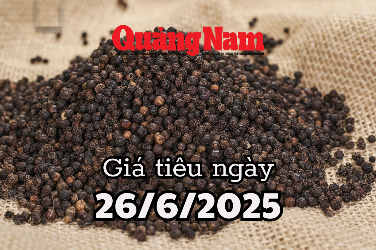 Tin tức, dự báo giá tiêu ngày mai 26 6 2025 cú hích lớn chưa có để đẩy giá tăng mạnh