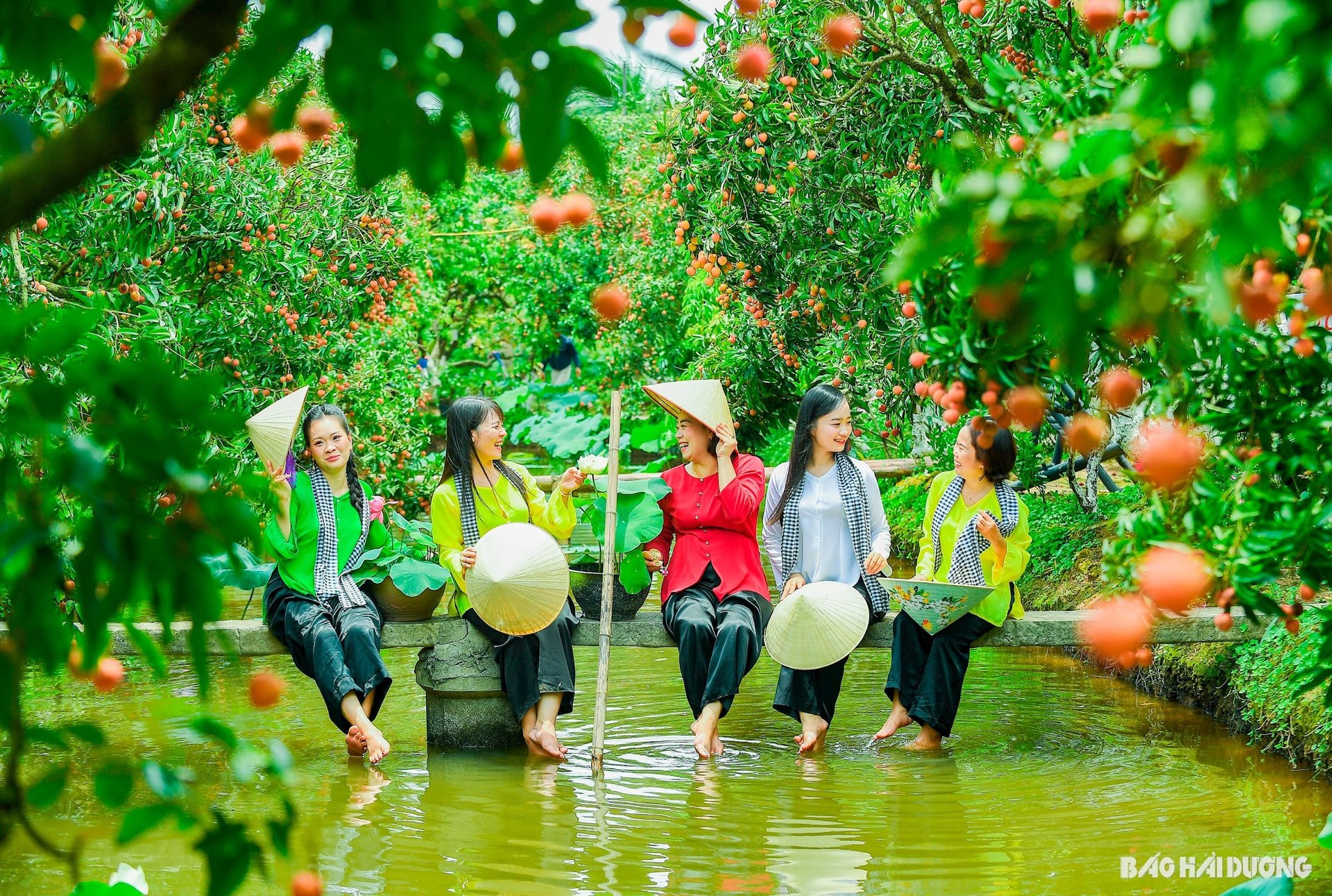 ដុង-ម៉ាន់-៧.jpg