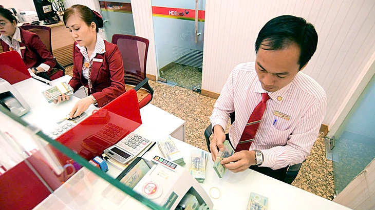 Hơn 1 triệu tỉ đồng được bơm ra nền kinh tế - Kỳ 1: Mừng nhưng vẫn lo chất lượng tín dụng - Ảnh 1.