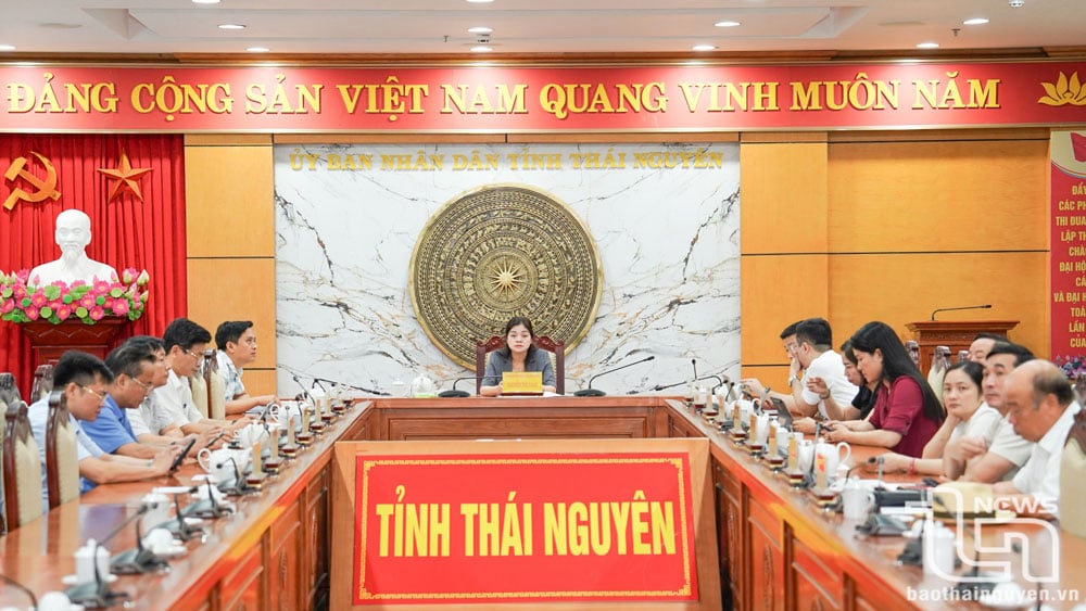 A la conferencia en la provincia de Thai Nguyen asistió la camarada Nguyen Thi Loan, vicepresidenta del Comité Popular Provincial.