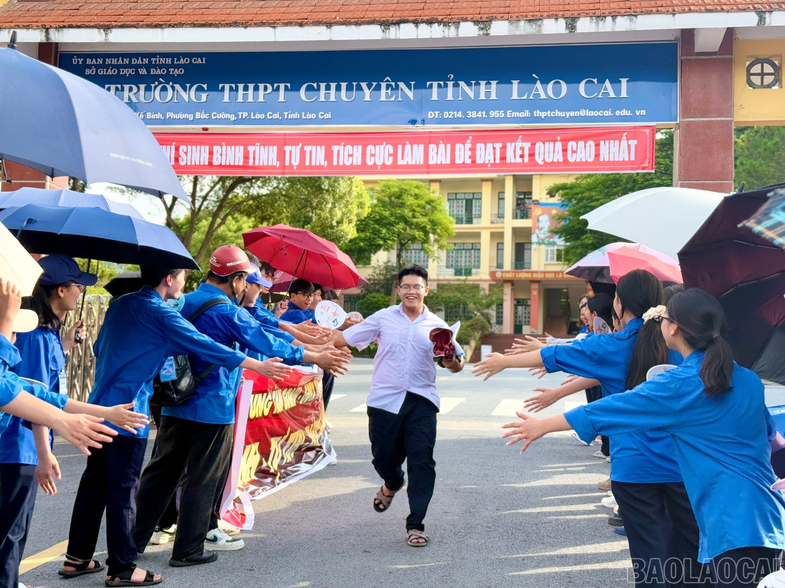 baolaocai-br_z6744846518407-0ff906c893293139b3b4babca2ea2049.jpg