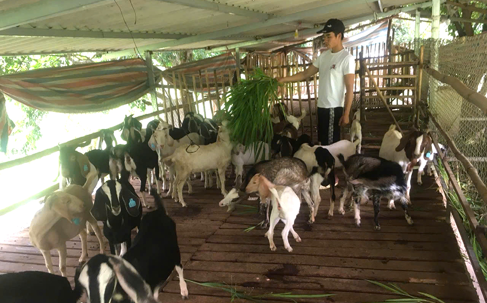 Văn Chấn triển khai hiệu quả hoạt động ủy thác vay vốn