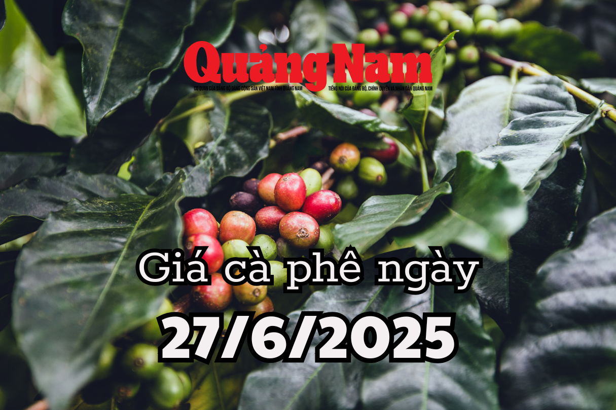 Tin tức, dự báo giá cà phê ngày mai 26 6 2025 ngày càng xa bờ