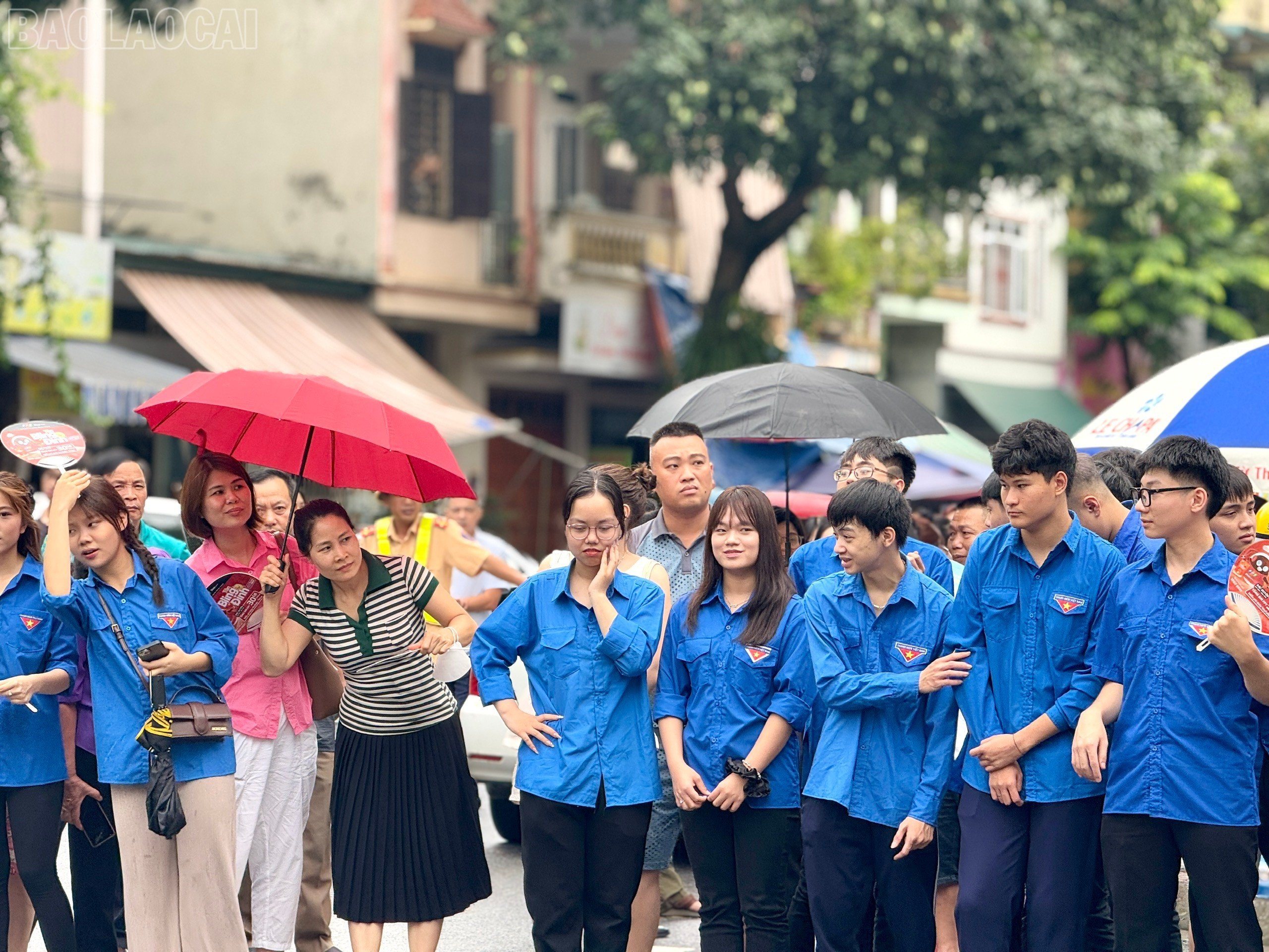 baolaocai-tl_z6744102291932-806b0453cc3b536ea2b4e15c57232fa4.jpg
