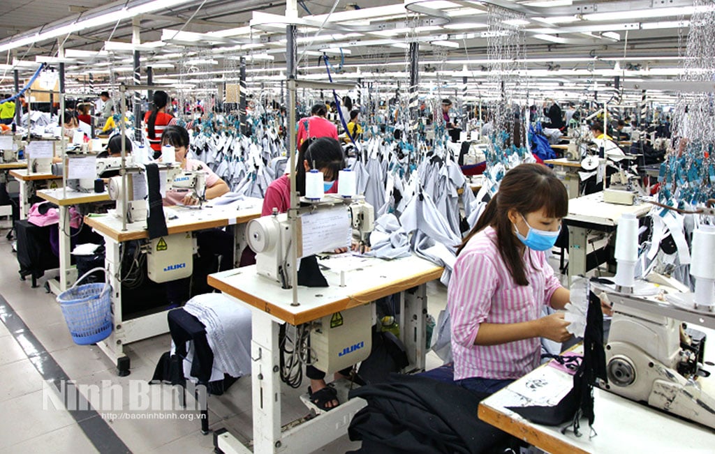 Los trabajadores de Excel Vietnam Garment Company Limited (Yen Khanh) reciben atención para garantizarles empleos e ingresos estables. Foto: Minh Quang