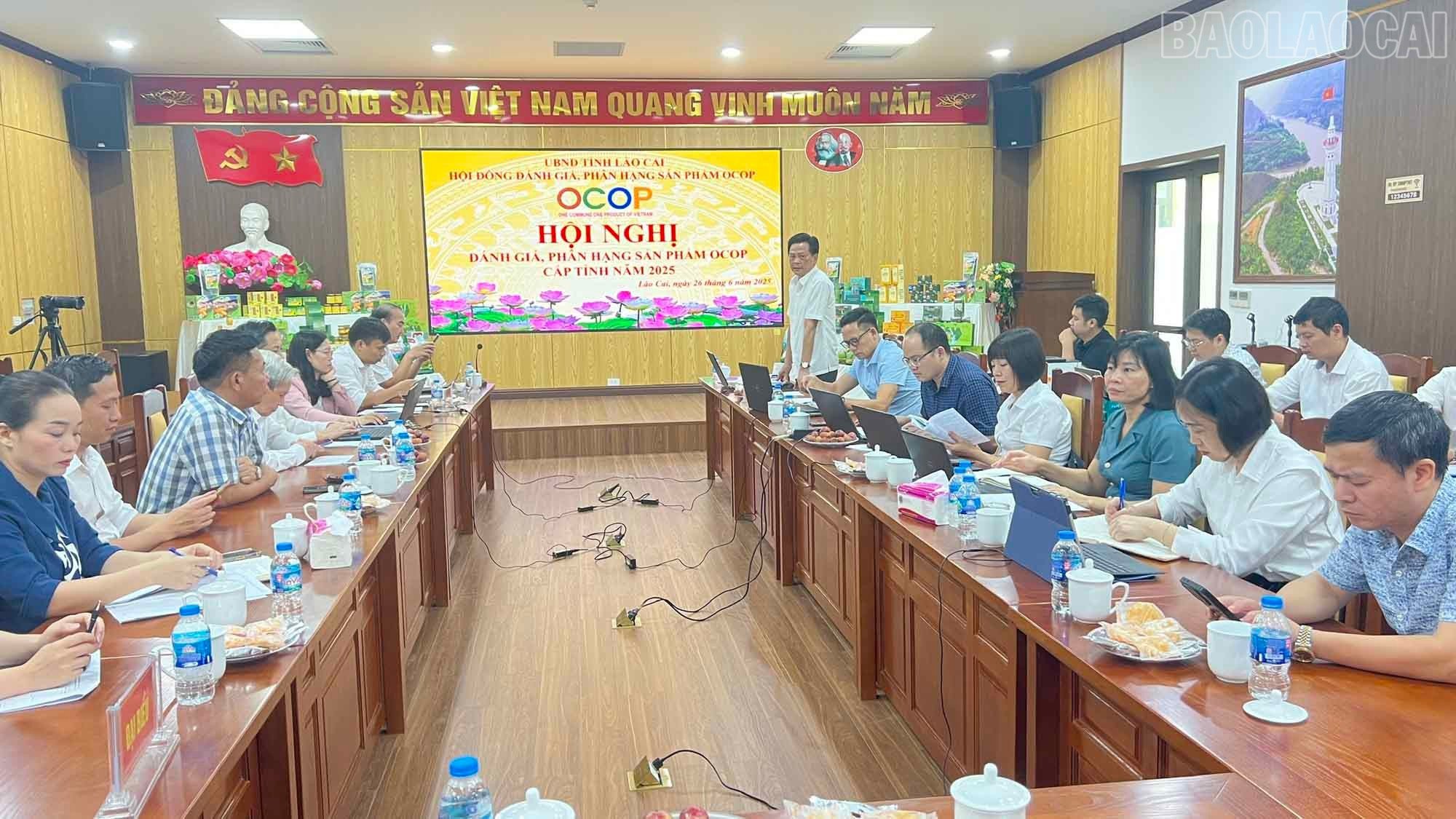 baolaocai-tr_1.jpg