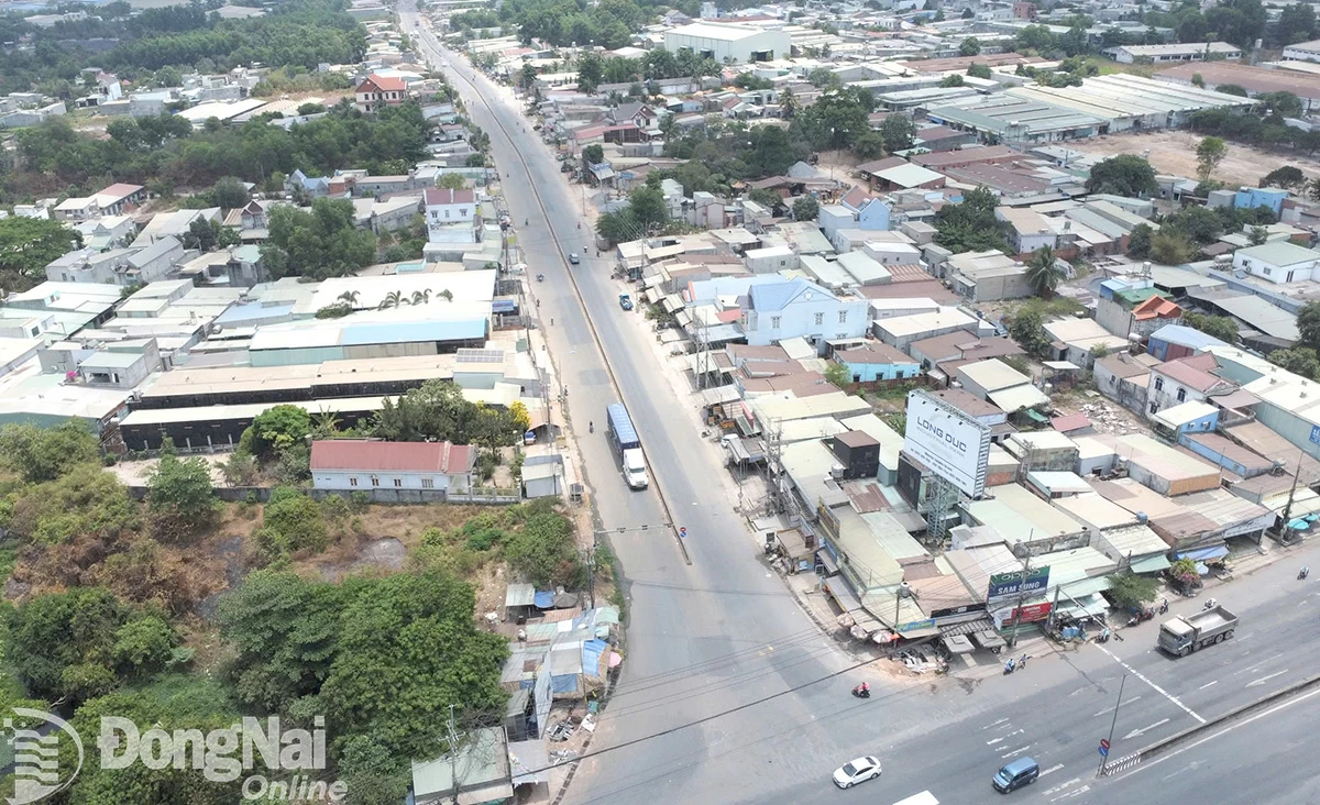 The 4km-long Lo Gach - Nuoc Trong bridge route is now severely damaged and degraded. Photo: P.Tung