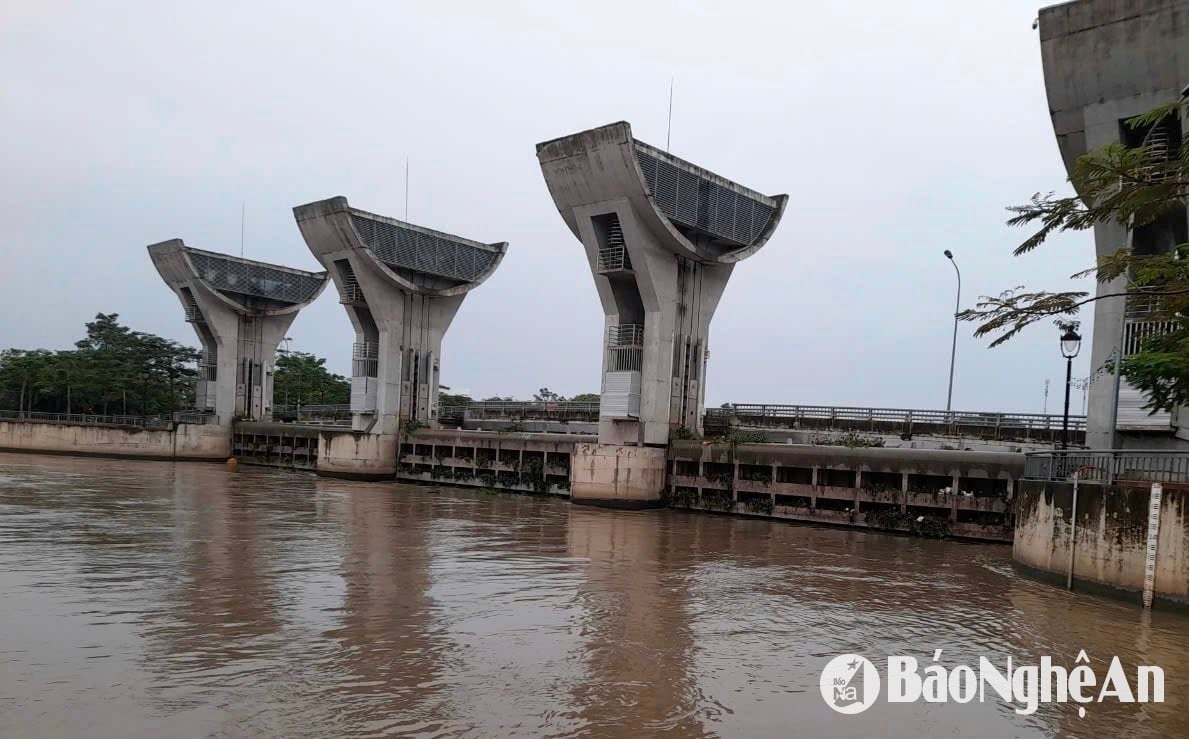 bna_van-truong-m4678.jpeg