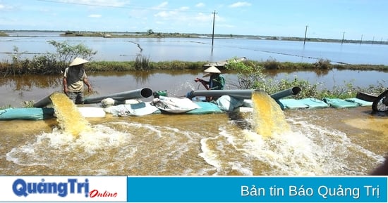 Quedarse despierto toda la noche para drenar las aguas de la inundación y sembrar "nuevos cultivos"