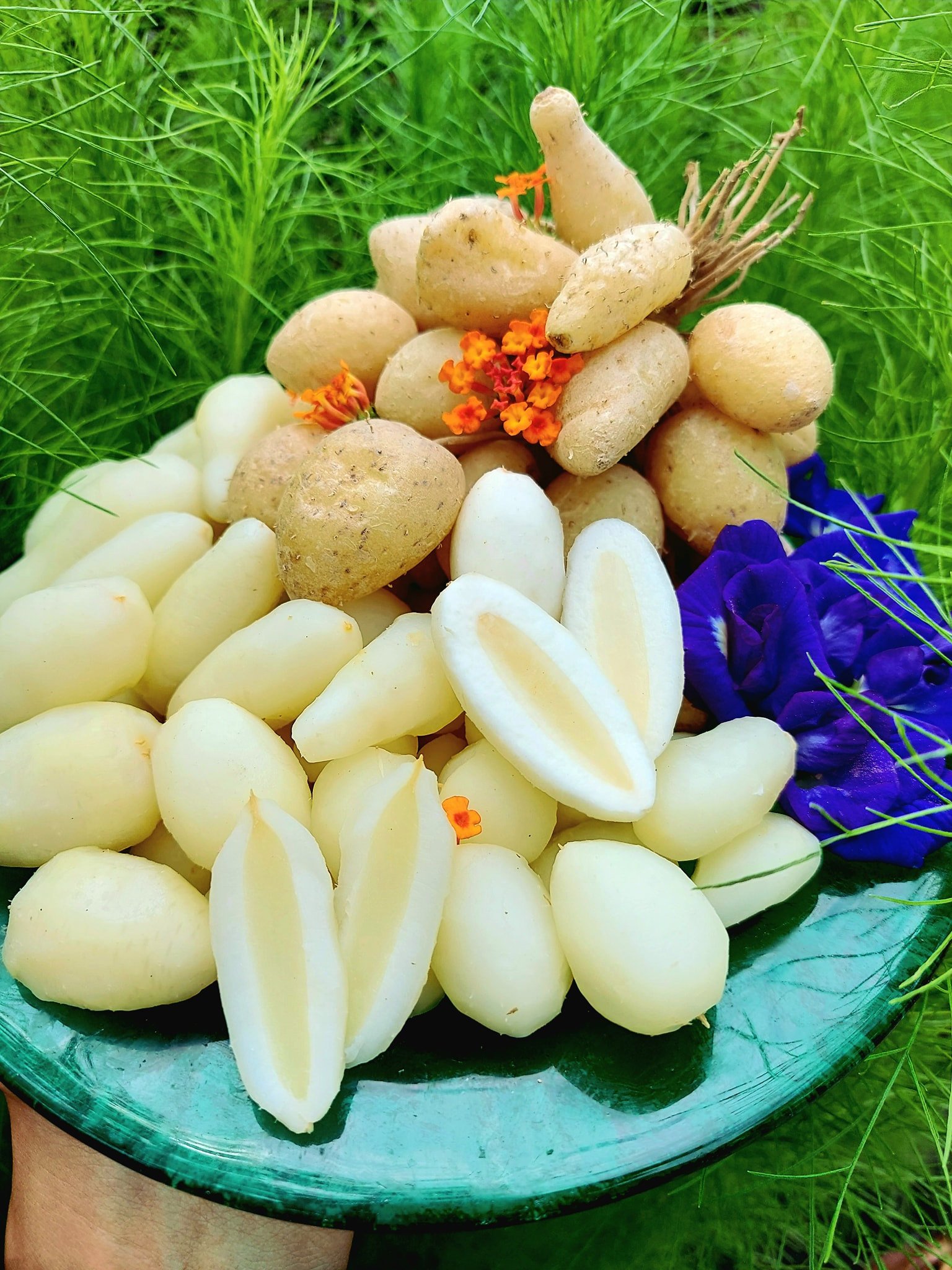 Đặc sản 'dưới lòng đất' ở Long An tên xấu nhưng ăn giòn, ngon - Ảnh 5.