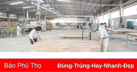 Kỳ I: Kinh tế tư nhân khẳng định vị thế