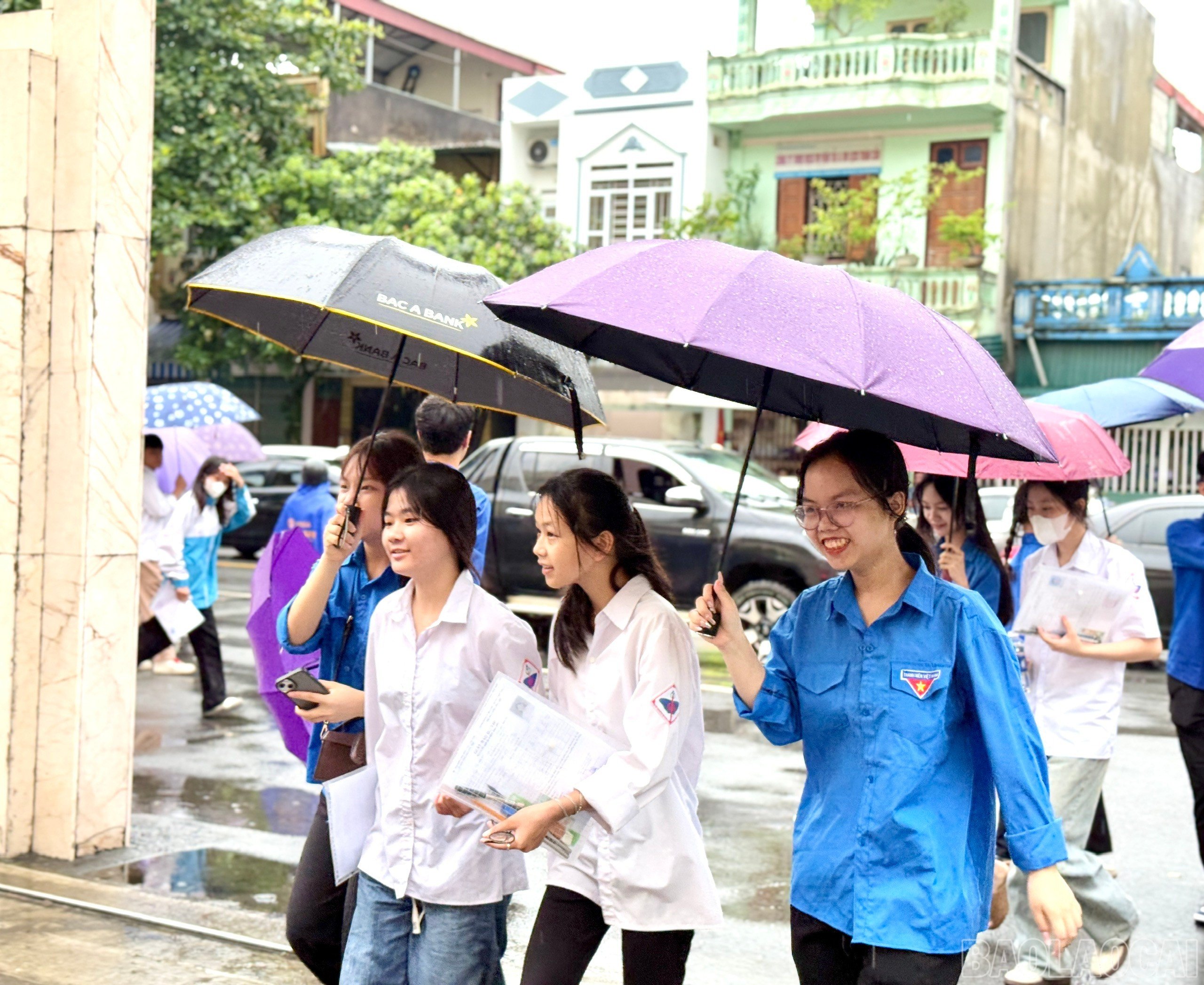 baolaocai-br_z6742691080828-a901dd6caf2de833b7d9269d0e2d1694.jpg