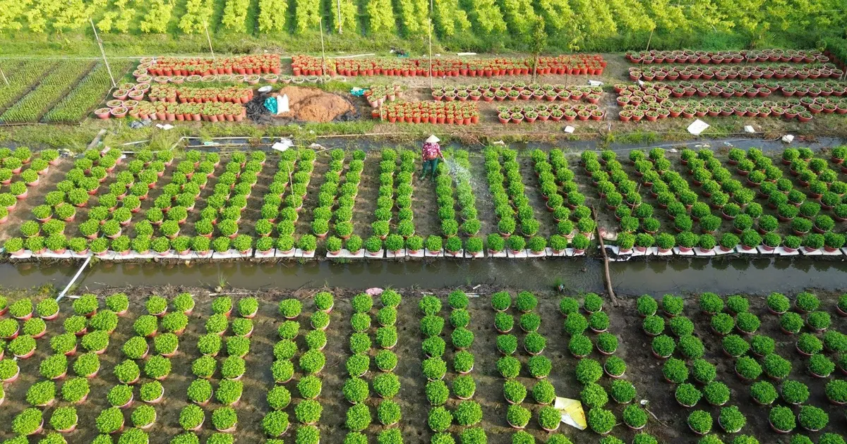 Phong trào xây dựng nông thôn mới ở Bến Tre: Diện mạo mới trên từng thôn, xóm