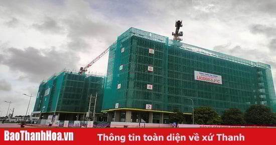 Kịp thời kiểm tra việc bán, cho thuê nhà ở xã hội để phòng ngừa tiêu cực, lãng phí