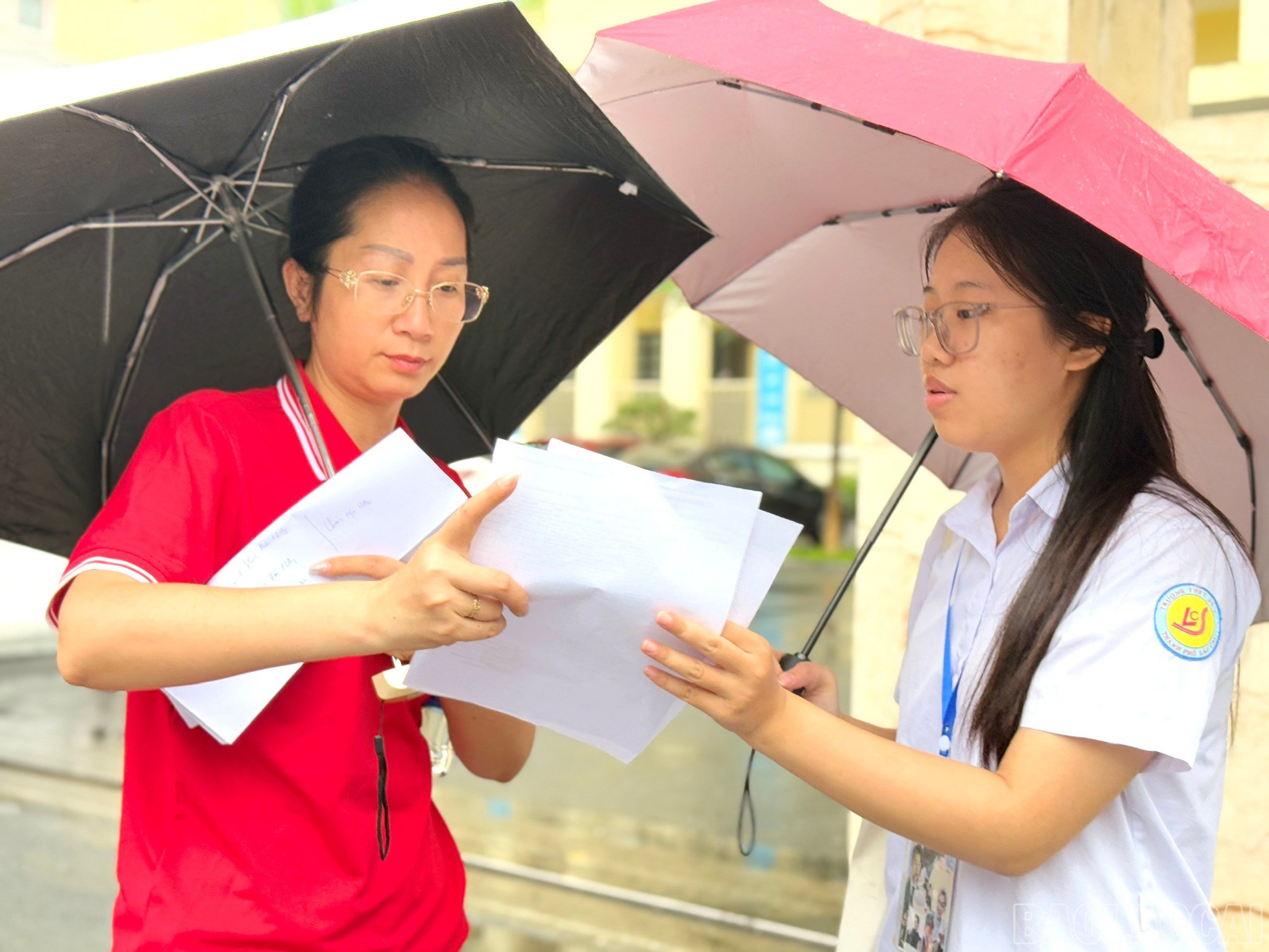 baolaocai-br_z6742690186553-cdca6467e7187255231d9447a7e7040e.jpg