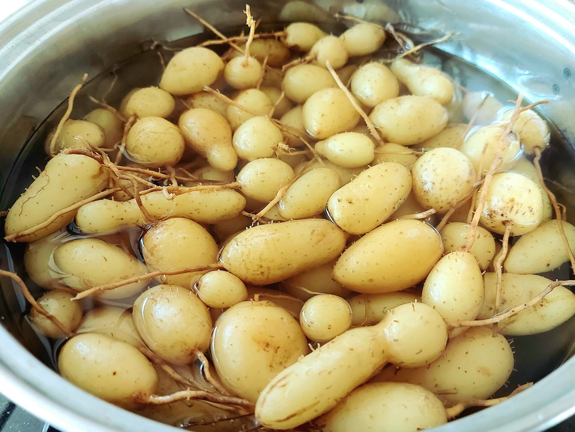 Đặc sản 'dưới lòng đất' ở Long An tên xấu nhưng ăn giòn, ngon - Ảnh 6.
