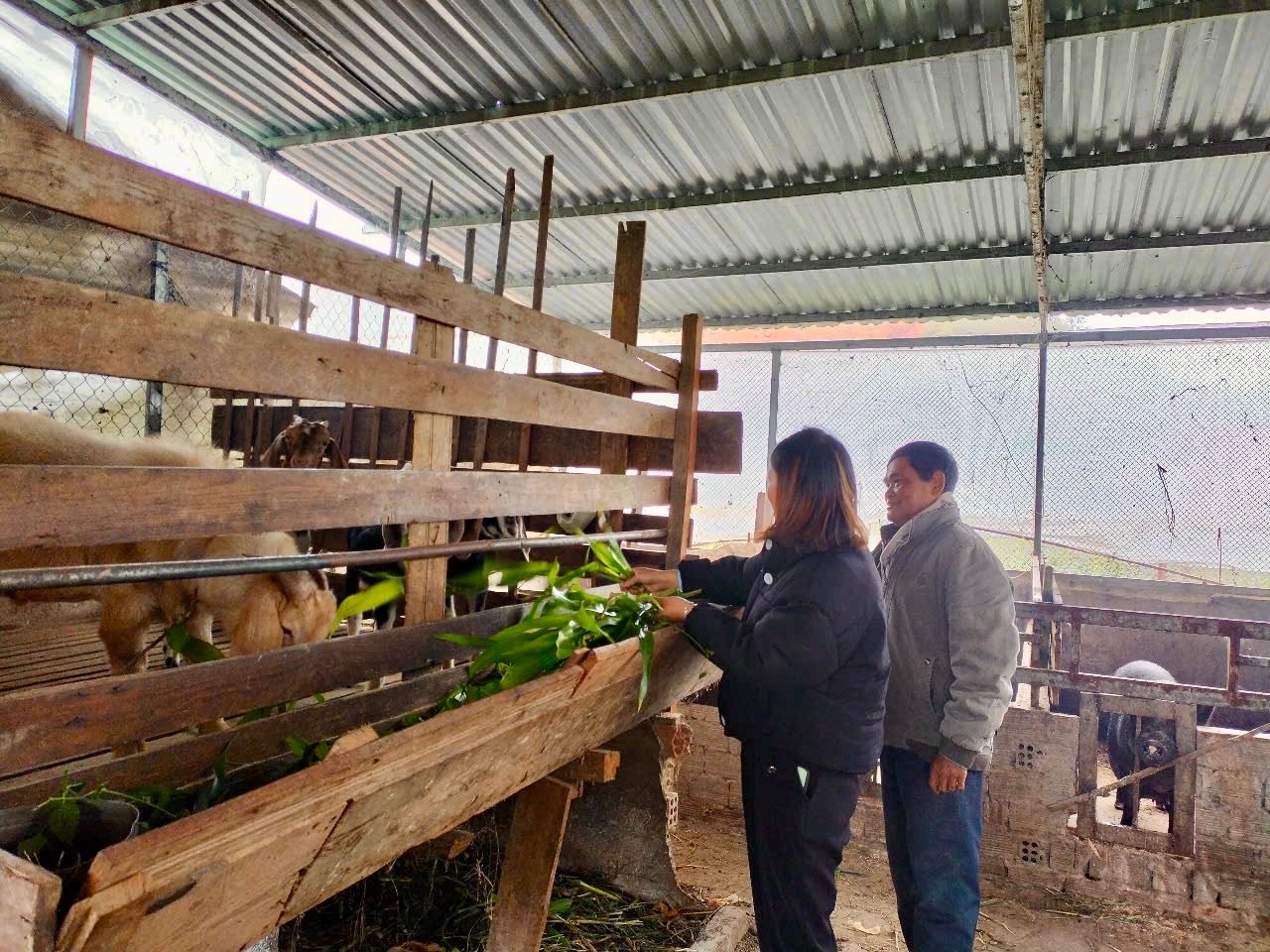 Một số mô hình chăn nuôi sản xuất ứng dụng nông nghiệp công nghệ cao, nông nghiệp thông minh, an toàn bền vững mang lại giá trị kinh tế, thu nhập cao cho người dân Đạ Nhim