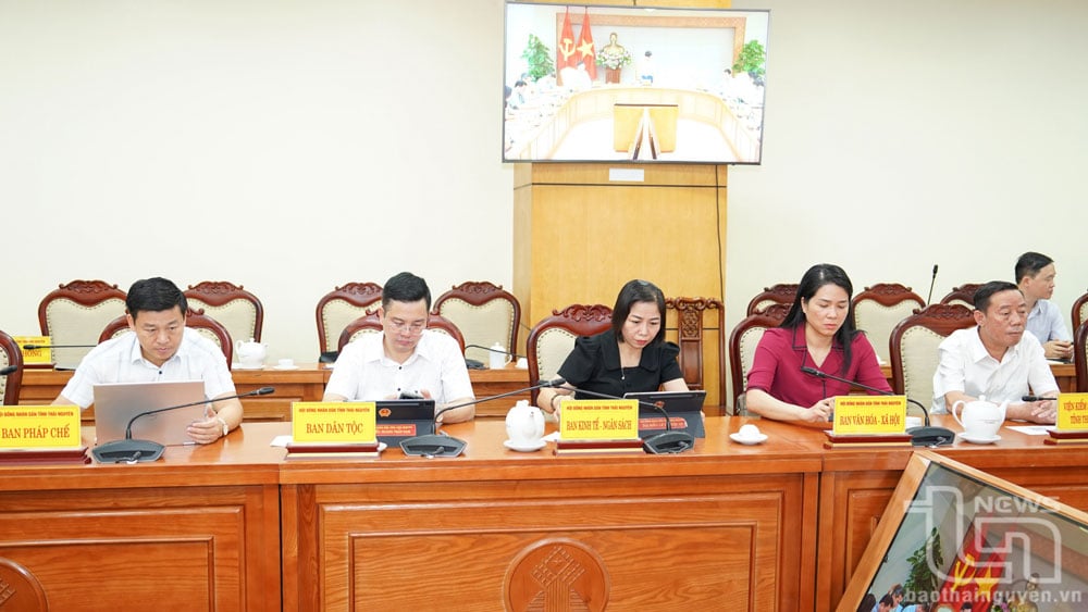 Delegados asistentes a la Conferencia en el puente Thai Nguyen.