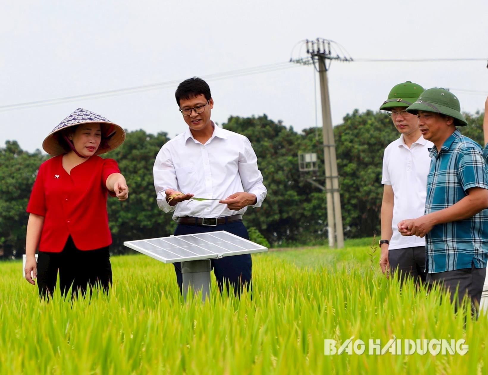 tuoi-uot-kho-xen-ke(1).jpg