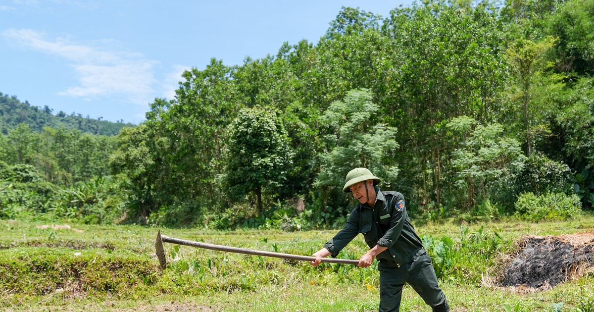 Ông Trung "trả nợ" rừng xanh