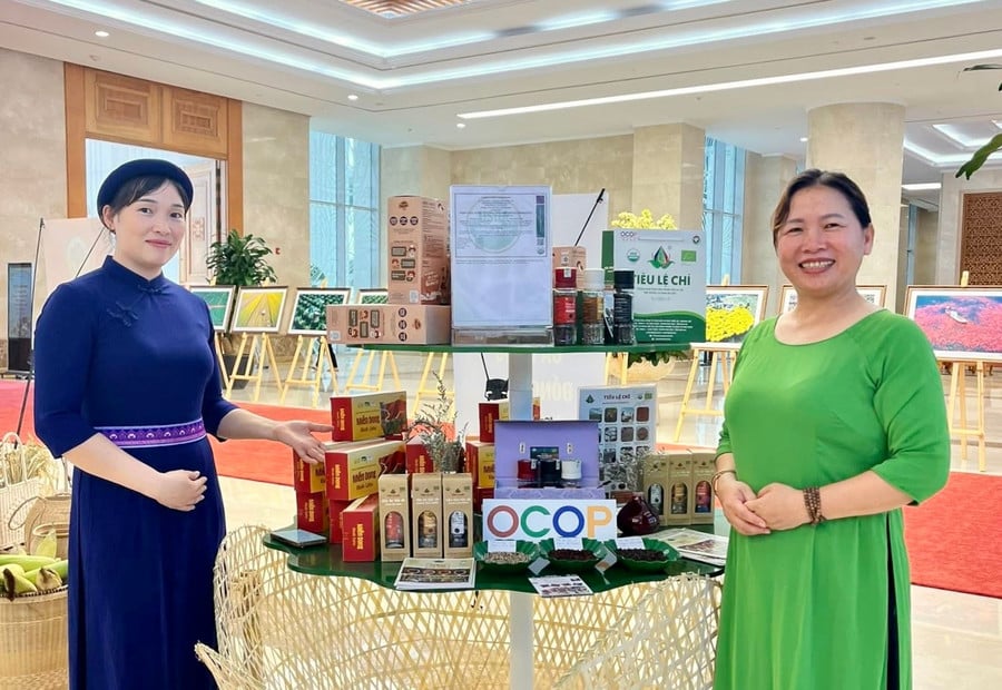anh-dvcc.jpg