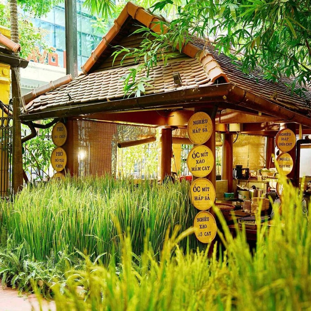 Sao Hàn Quốc thích thú ăn bánh xèo, chả cá khi đến Hà Nội biểu diễn - 4