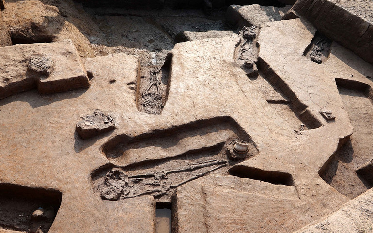 vuonchuoi-dicotdongson.jpg