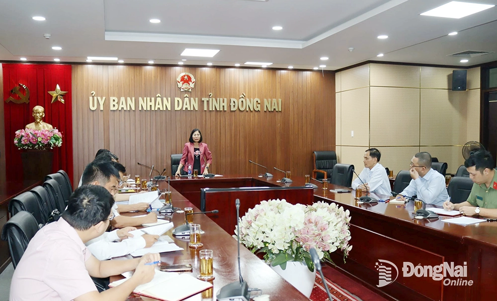 Phó chủ tịch UBND tỉnh Nguyễn Thị Hoàng phát biểu kết luận buổi làm việc. Ảnh: Hoàng Lộc