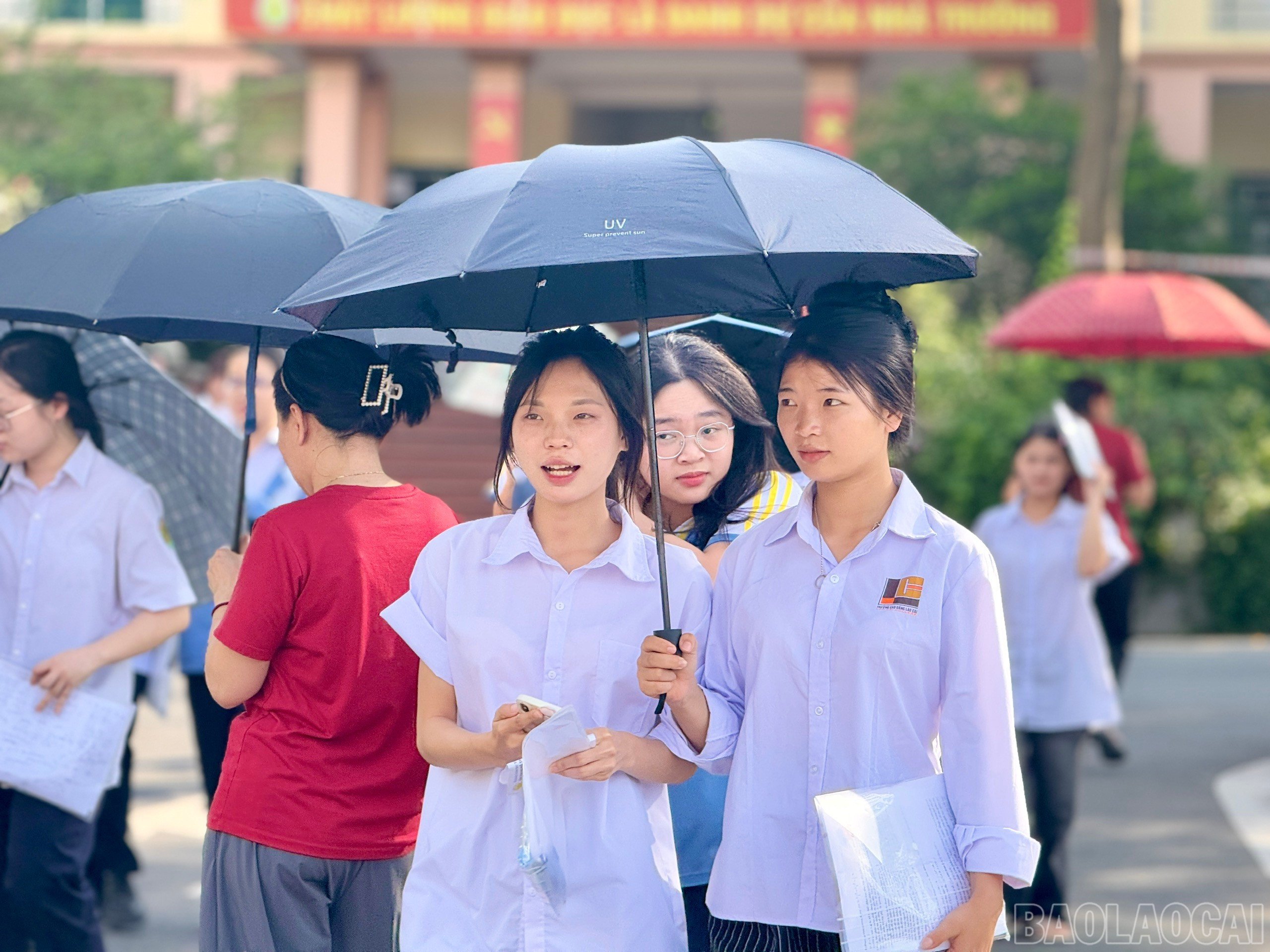 baolaocai-br_z6744842143755-6c57b7ed8f57c3376472e92329cfe5ab.jpg