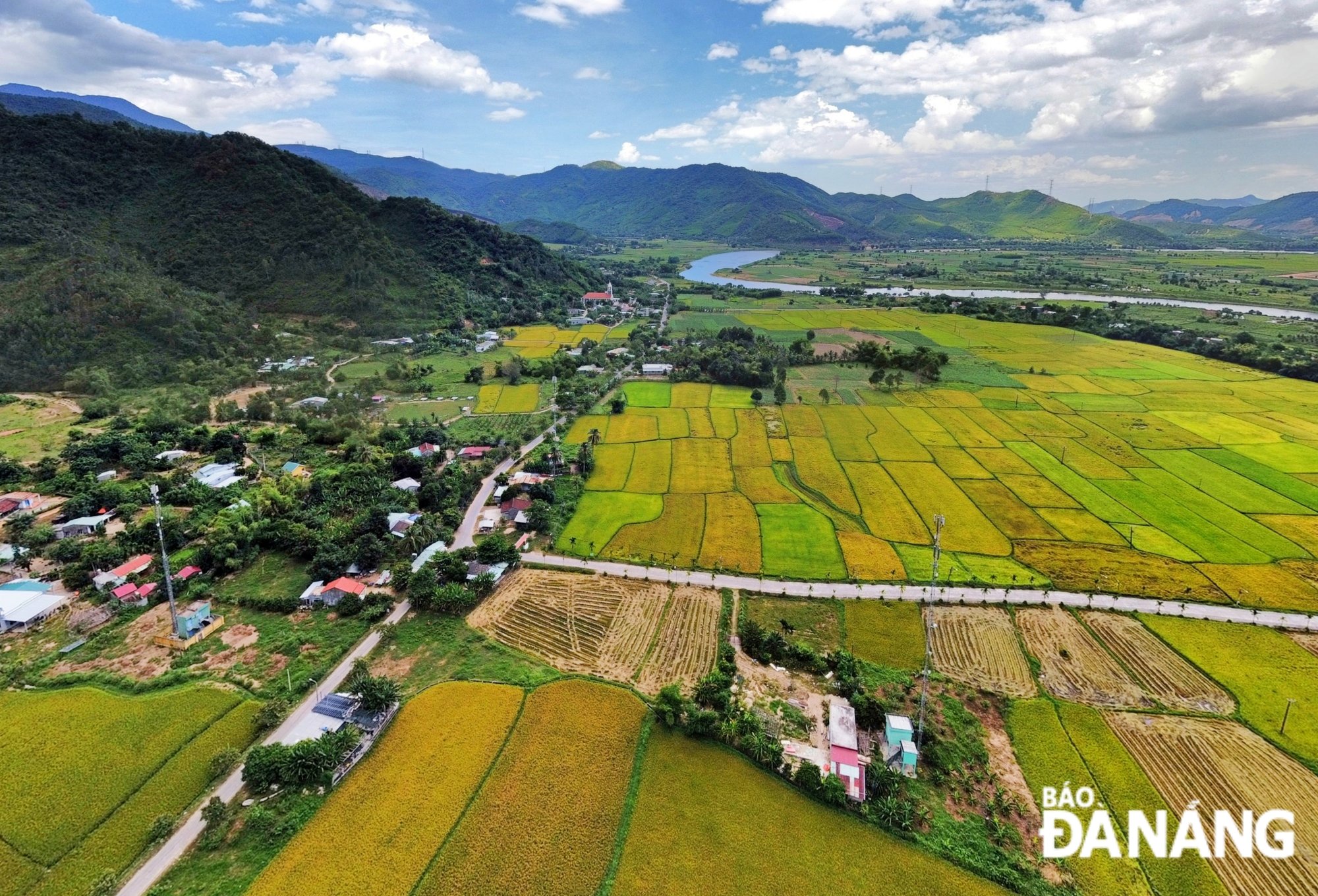 Mùa lúa chín ở thung lũng Nam Yên, xã Hòa Bắc (huyện Hòa Vang). Ảnh: XUÂN SƠN